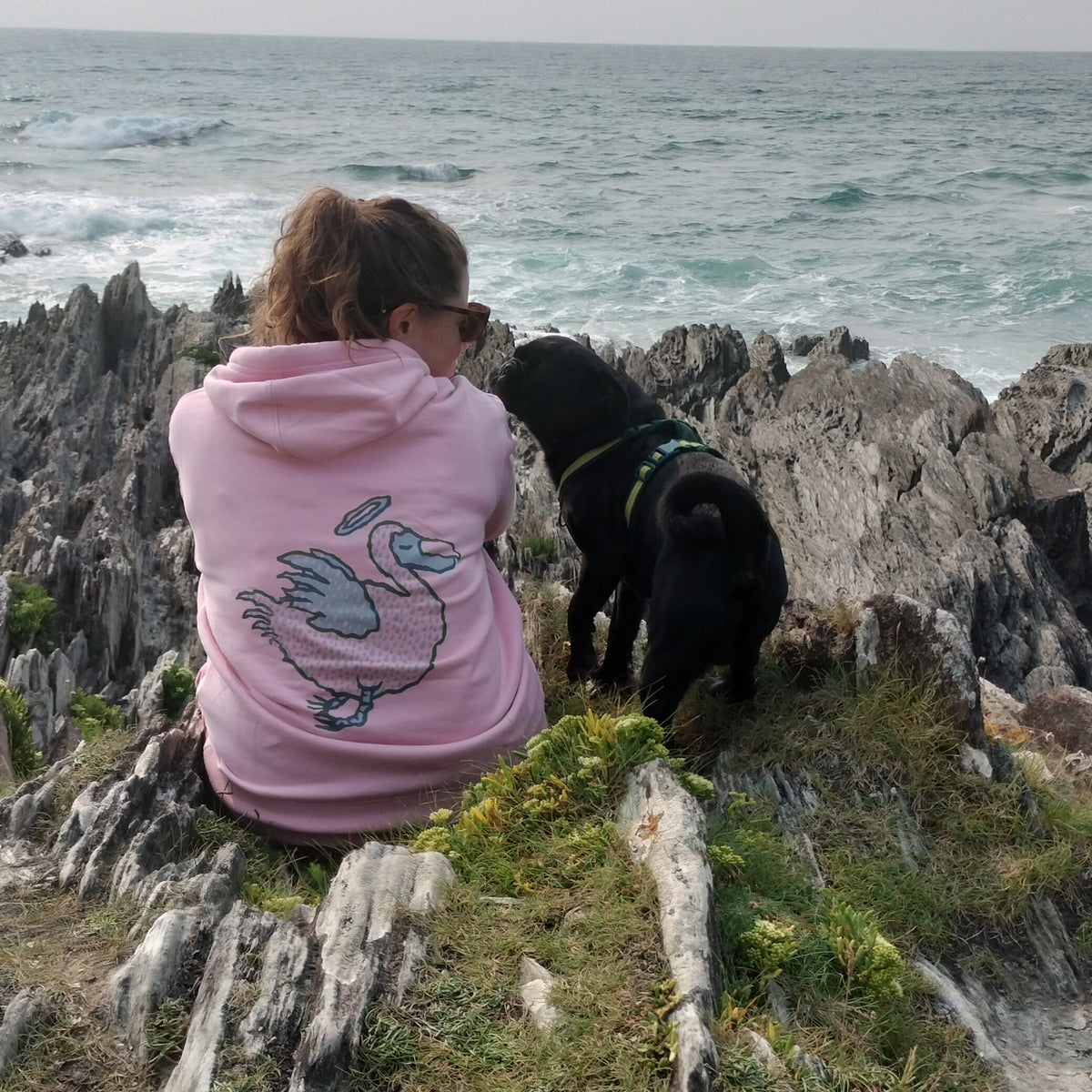 Adult Classic Dodo Hoodie - Blossom Pink